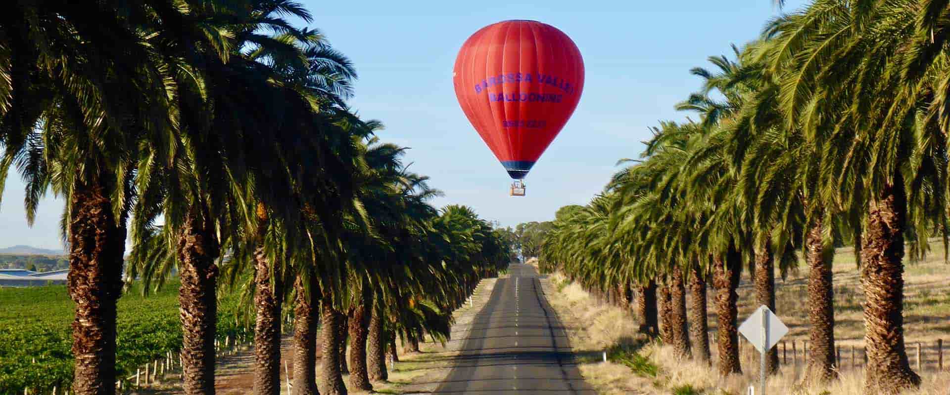 Barossa-Valley-Balloning-South-Australia
